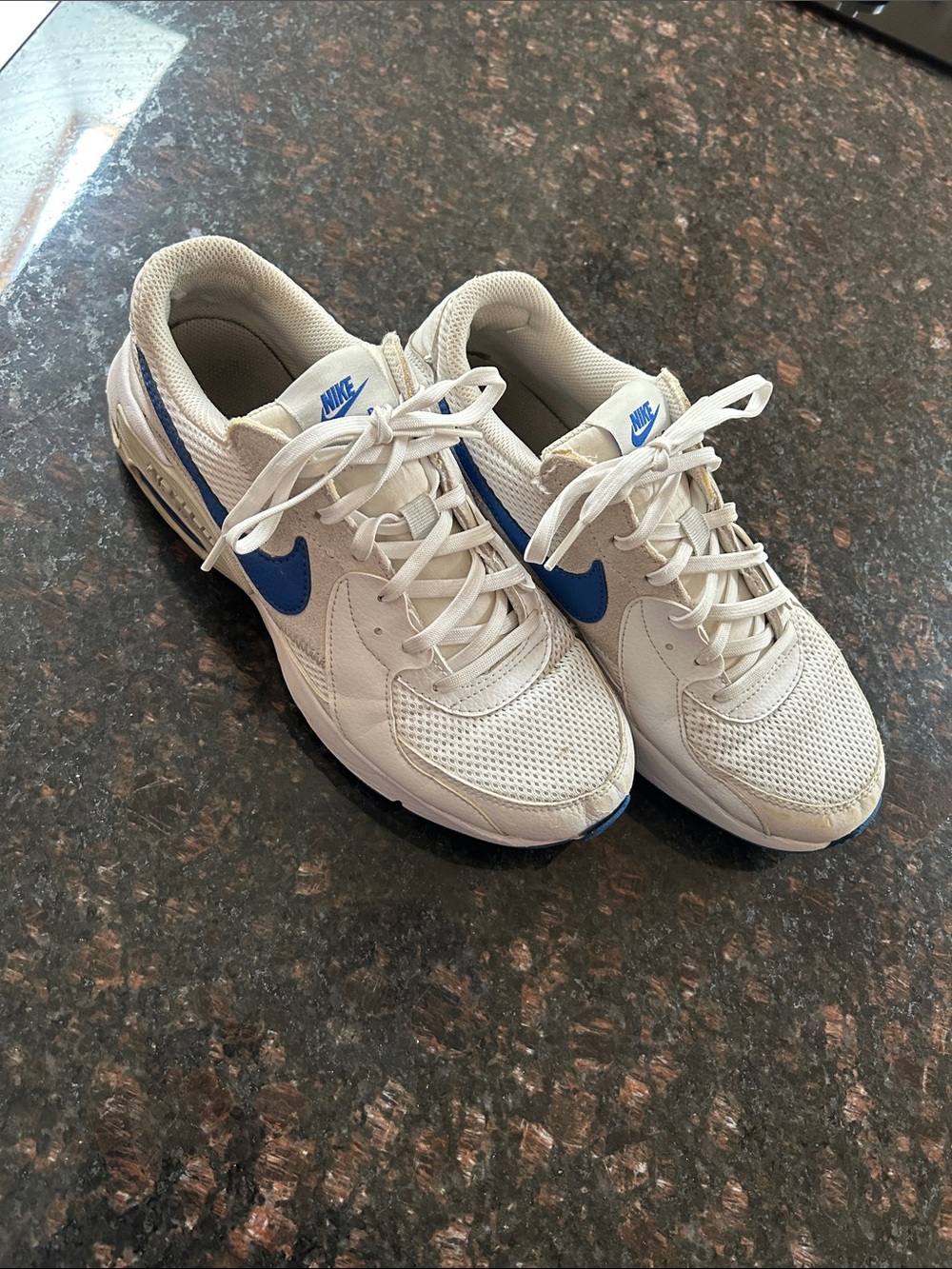 Nike White Sneakers with Blue Swoosh